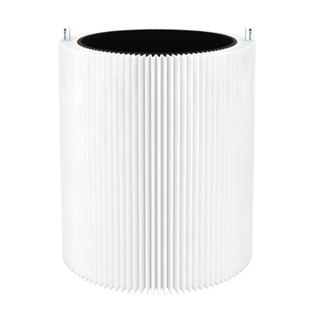 Replacement Filter
