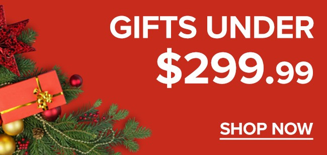 Shop Gifts Under 299.99