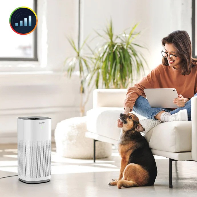 H13 HEPA Shield Against Pollutants