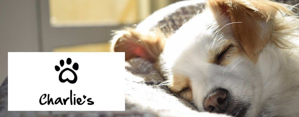 Charlies Mobile Banner