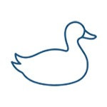 Duck Down Feather